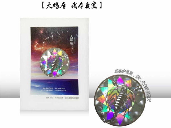 天蝎座 我本真实